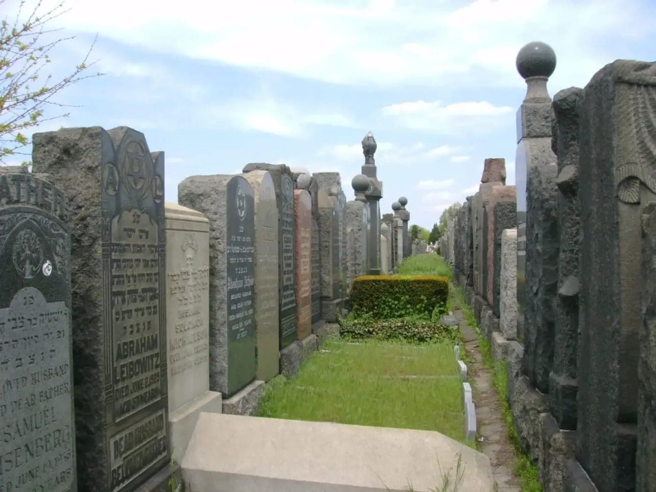 A path running between two close rows of tall old headstones, narrowing into the distance.